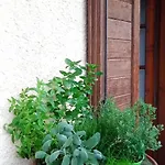 Sweet Cortina Appartement Cortina dʼAmpezzo