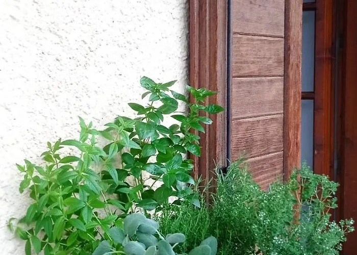 Sweet Cortina Appartement Cortina d'Ampezzo